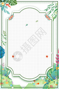 格纹边框植物边框背景设计图片