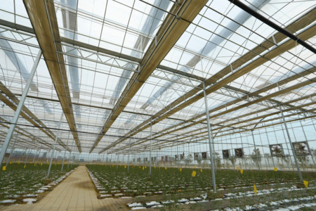 农业种植专家高科技大棚GIF高清图片