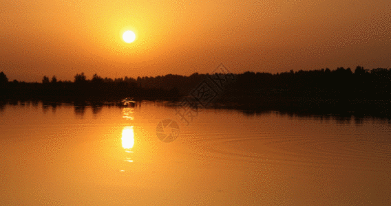 黄昏落日湖畔GIF图片