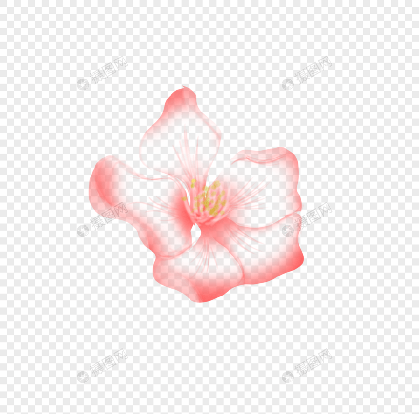 植物元素花朵图片