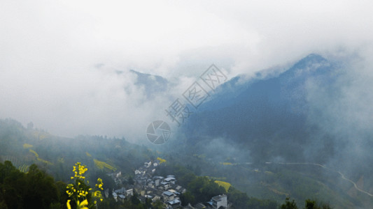 黄山背景春天安徽黄山徽派古村油菜花梯田GIF高清图片