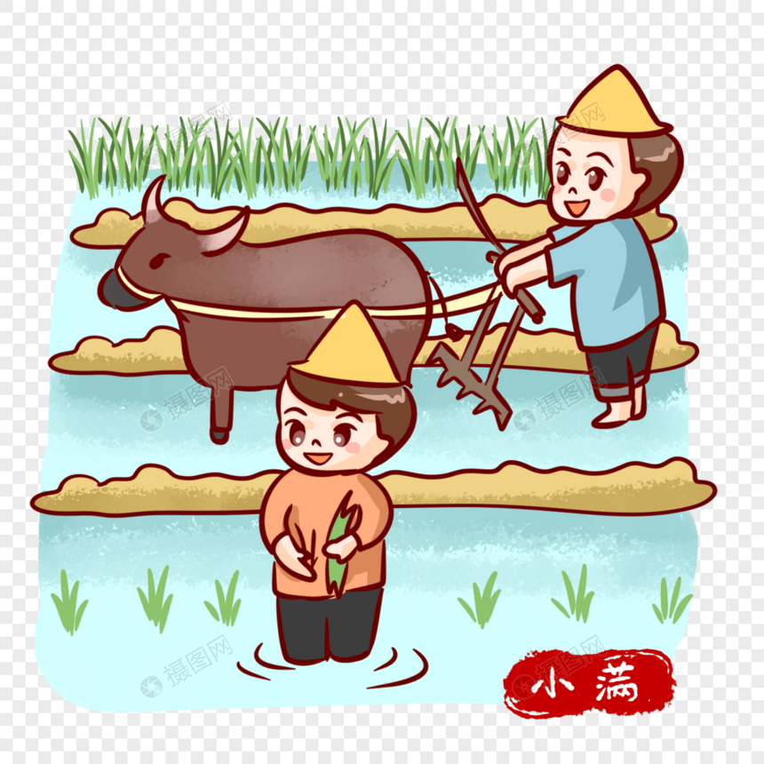 种水稻的农民图片