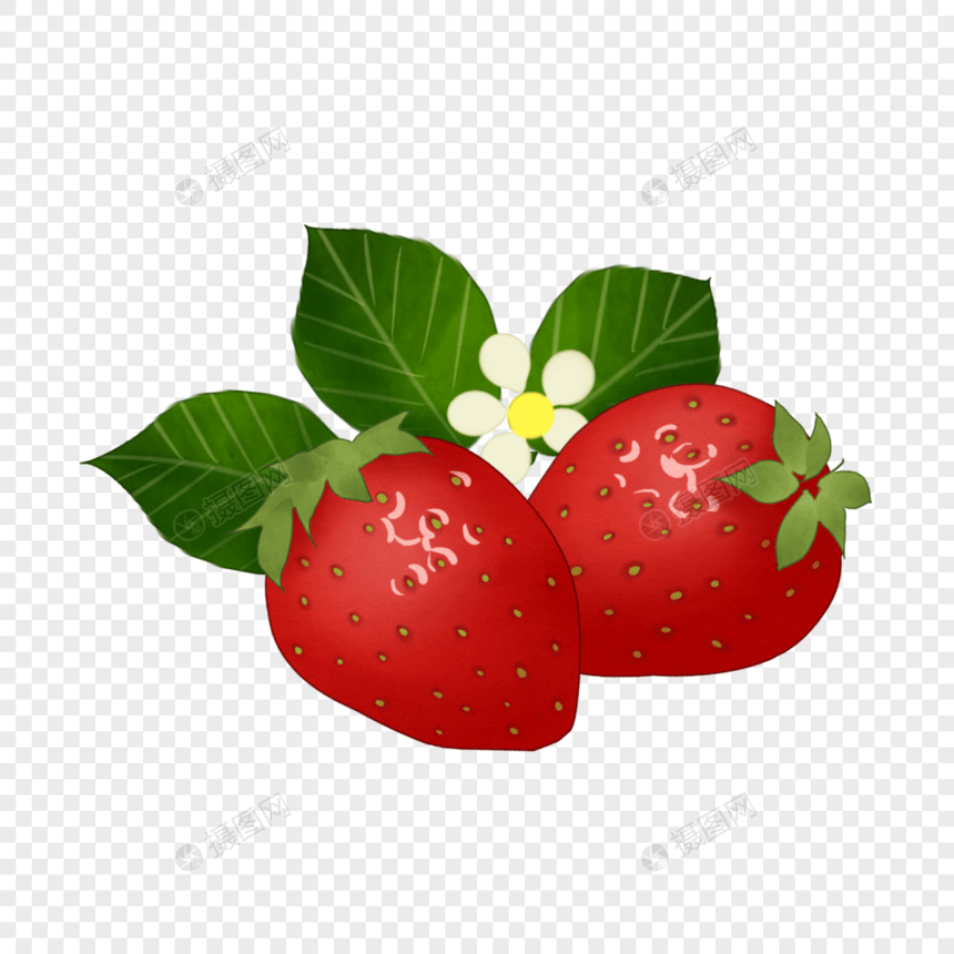 卡通草莓实物插图图片