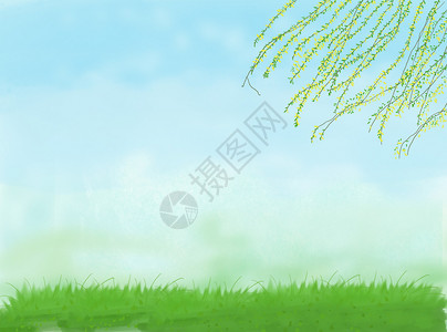 柳树叶春天风景设计图片
