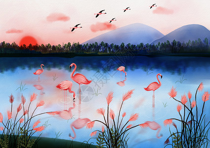 夕阳河边河边的火烈鸟插画