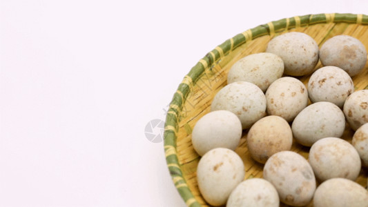 鸡蛋特写鹌鹑蛋 GIF高清图片
