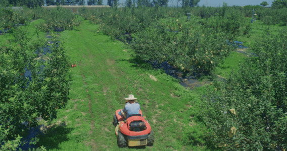 农业拖拉机苹果园4K超清航拍原始GIF高清图片