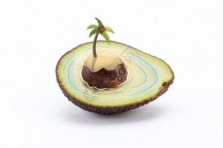 椰子岛创意牛油果插画