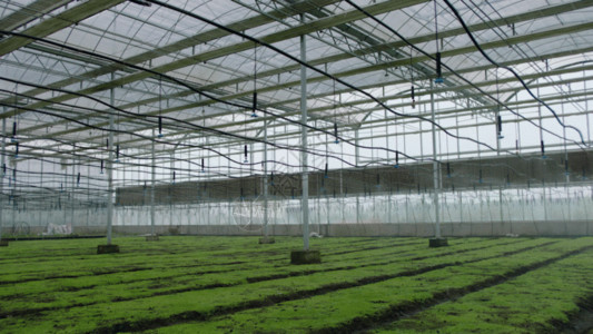 温室种植高科技大棚喷洒GIF高清图片