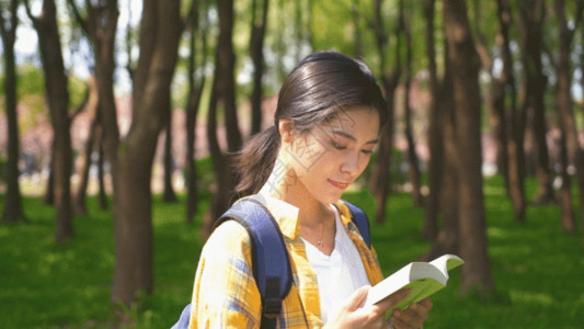 背包转身女孩女生户外森林看指南书籍GIF高清图片