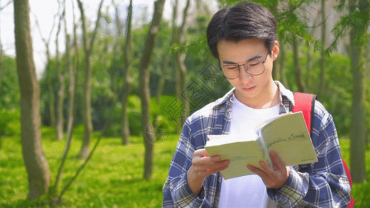 正在读书的男孩青少年户外学习GIF高清图片