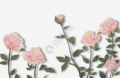 玫瑰花心形花卉GIF高清图片
