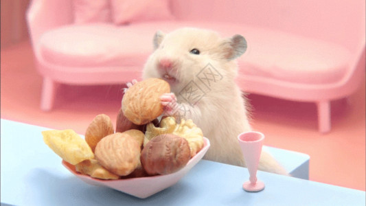 滑冰的老鼠仓鼠吃货局部动态gif高清图片