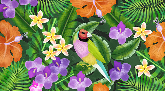 大鹦鹉手绘热带植物插画