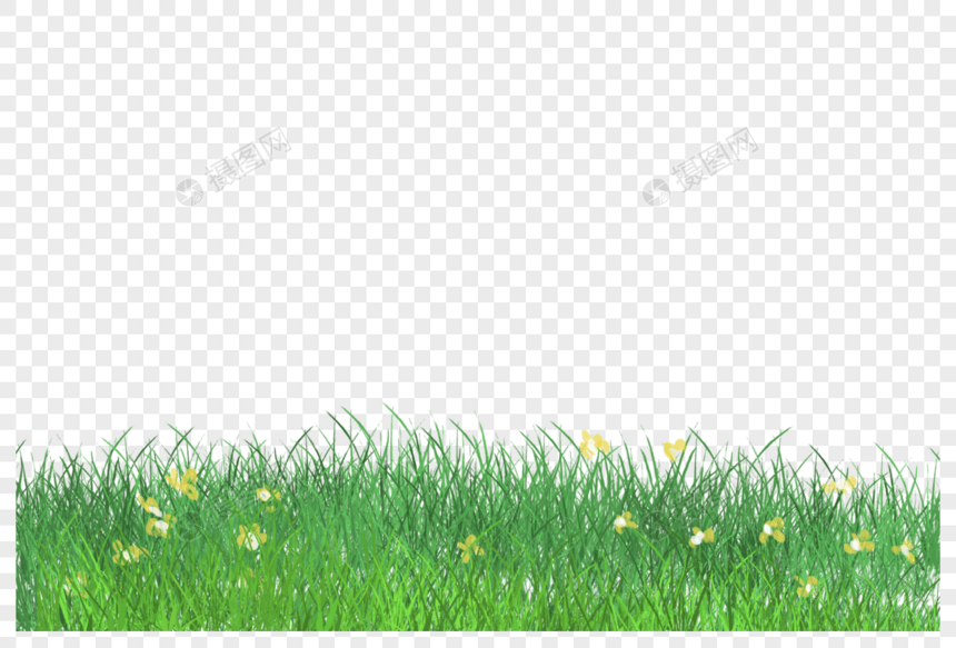 草坪图片