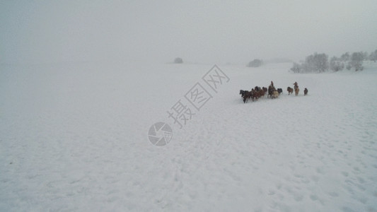 雪山下的草原内蒙古乌兰布统坝上草原冬季跑马航拍视频GIF高清图片