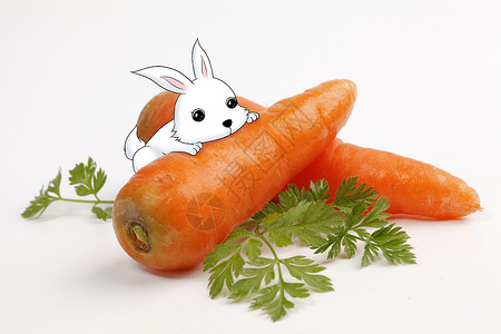 吃胡萝卜小白兔小兔子吃胡萝卜插画