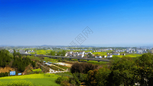 郊区风景汉中油菜花实拍素材GIF高清图片