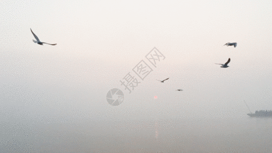 印度瓦拉纳西恒河日出GIF图片
