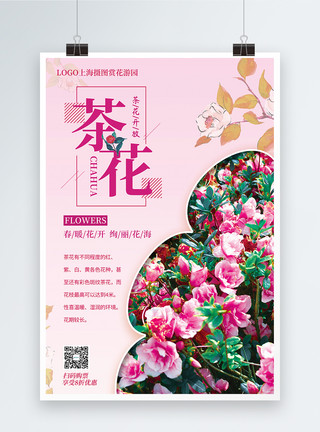 美丽的花园大气茶花春季赏花促销海报模板