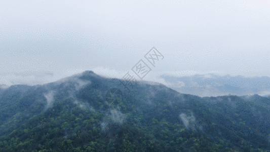 大气磅礴大山森林云雾GIF图片