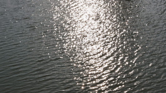 户外波光粼粼的湖水反光GIF图片