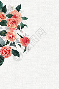 橙色玫瑰清新鲜花背景设计图片