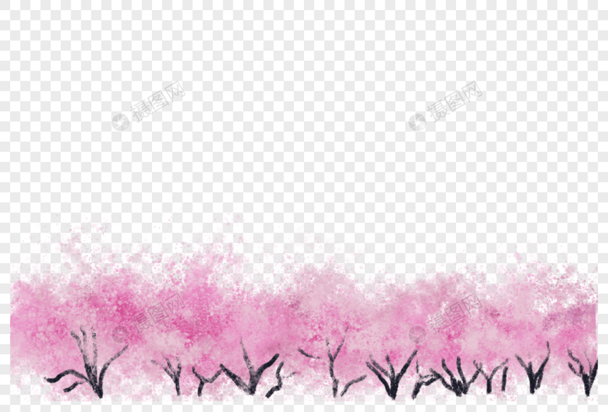 樱树图片