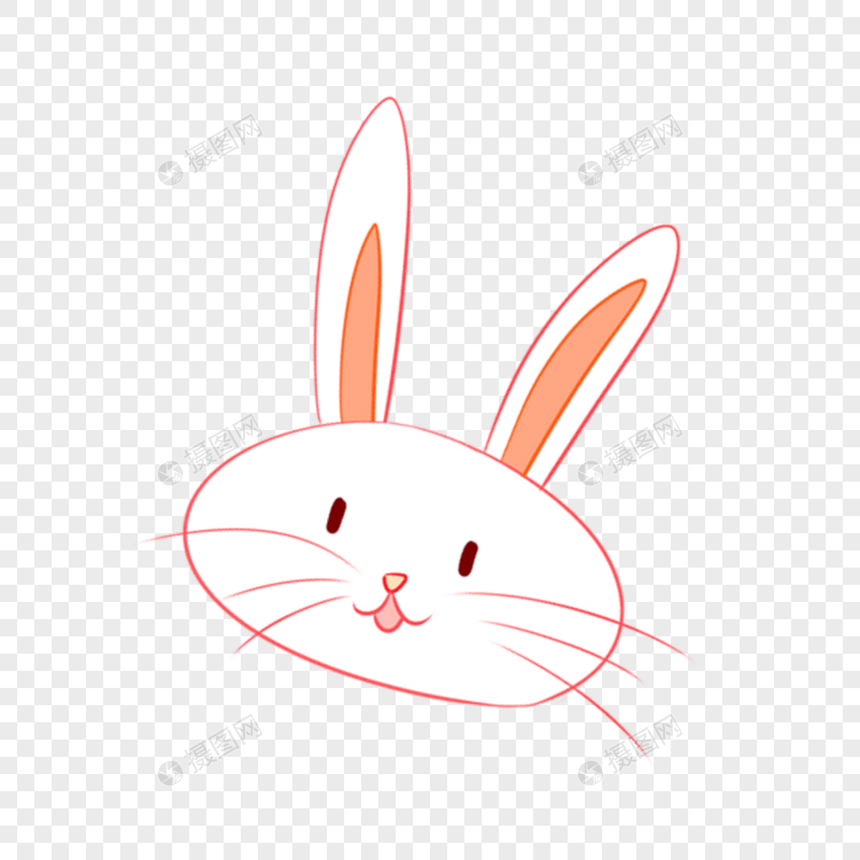 小兔子图片