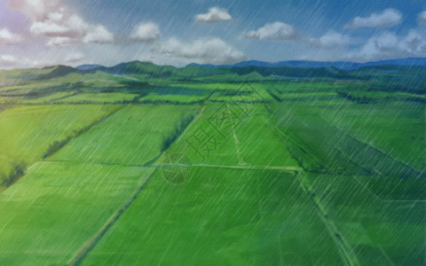 小雨转多云雨中的稻田GIF高清图片