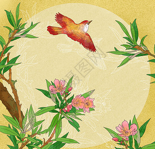 中国风水墨工笔花鸟花卉冠花图背景图片