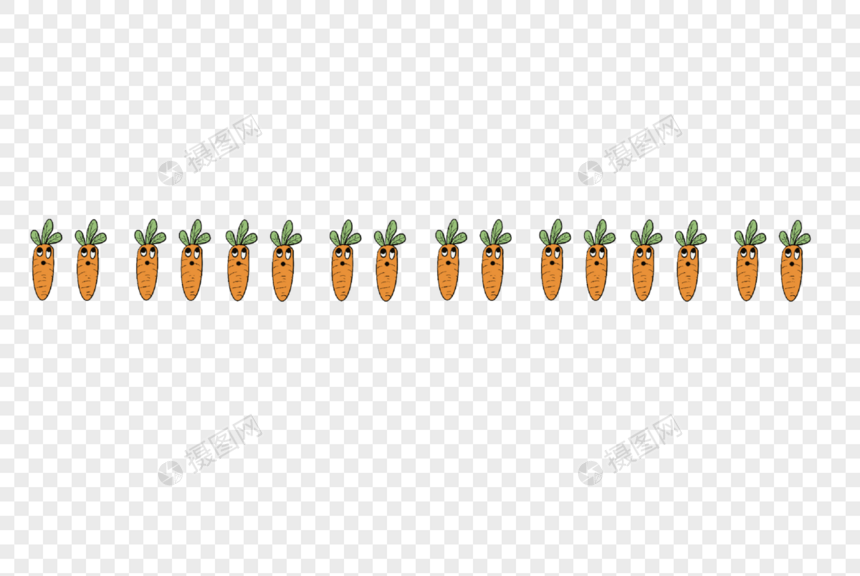 胡萝卜分割线图片