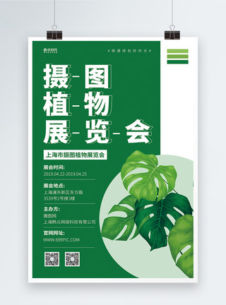 仙人掌多肉绿色植物展览宣传海报模板