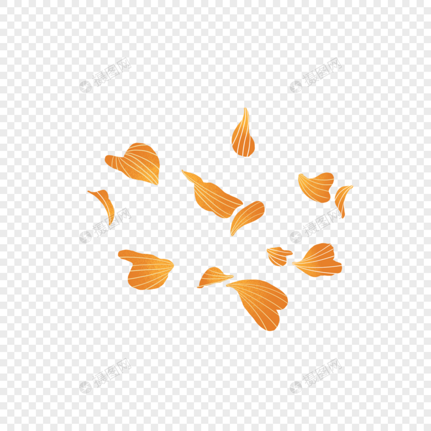 橘色花瓣图片
