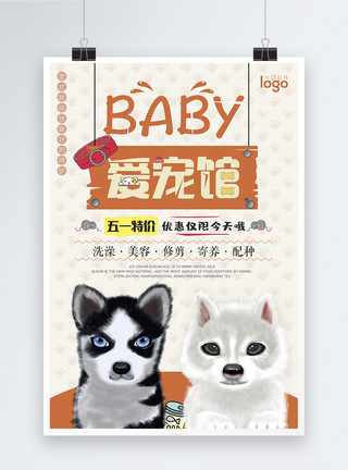 猫咪和狗狗宠物店促销海报模板