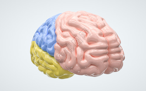 脑血管堵塞医学人体器官设计图片