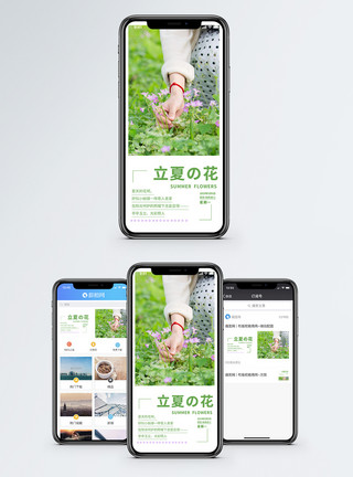 紫色小花盆栽夏日的花手机海报配图模板