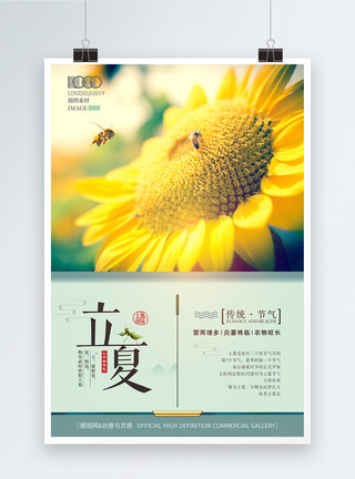 手绘蜜蜂元素立夏24节气夏天向日葵海报模板
