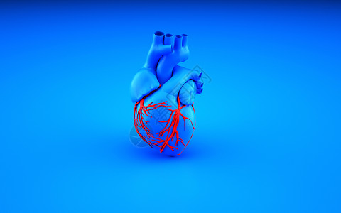 心脏冠状血管心脏模型设计图片