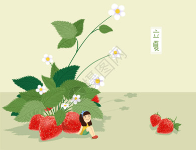 草莓花立夏草莓插图高清图片