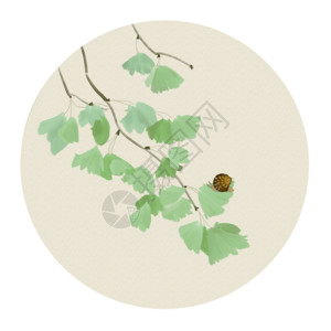 棉花和松果组合中国风树叶高清图片