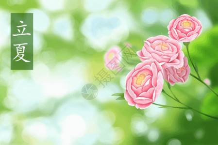 手绘美丽玫瑰立夏GIF高清图片