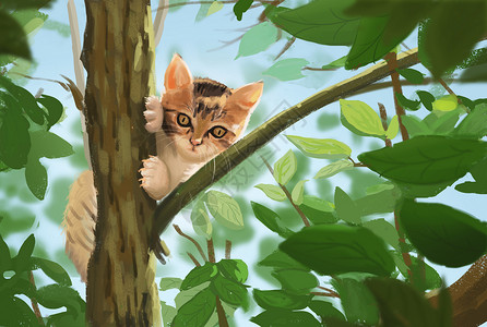 猫树干爬树猫高清图片