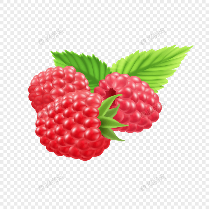 矢量树莓图片
