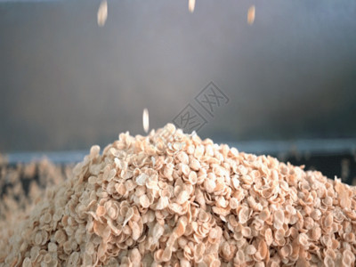 散落的燕麦片GIF高清图片