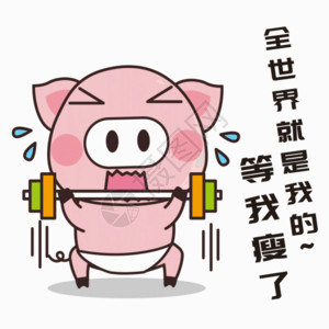无氧杠铃运动猪小胖GIF高清图片