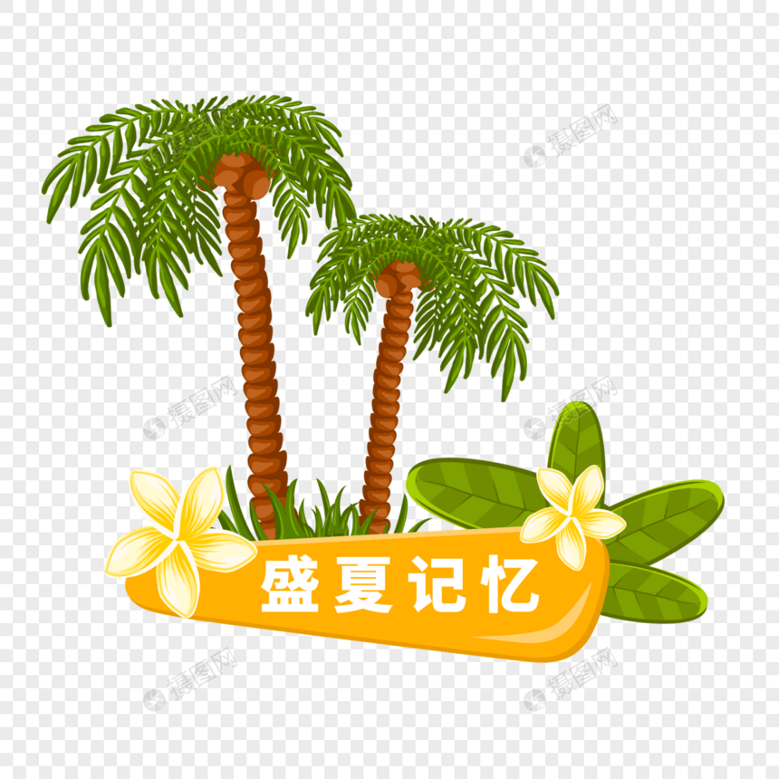 盛夏记忆图片