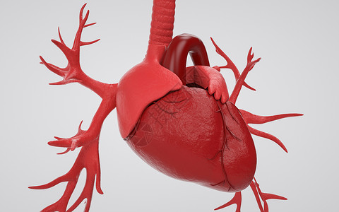 医学人体器官心脏背景图片