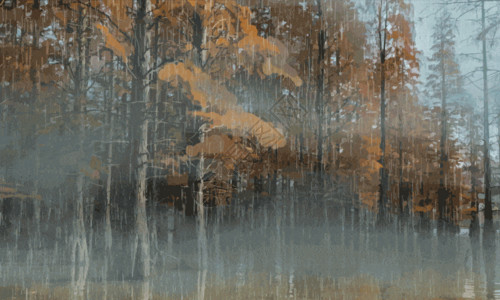 秋季树林雨来的森林 gif高清图片