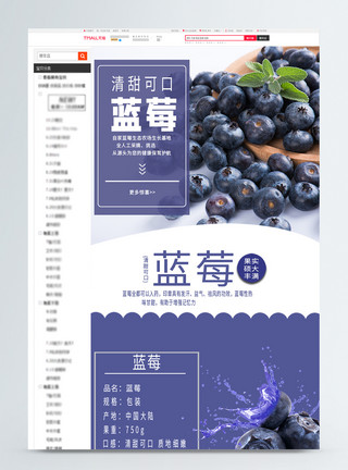蓝莓水果详情页蓝莓水果淘宝详情页模板
